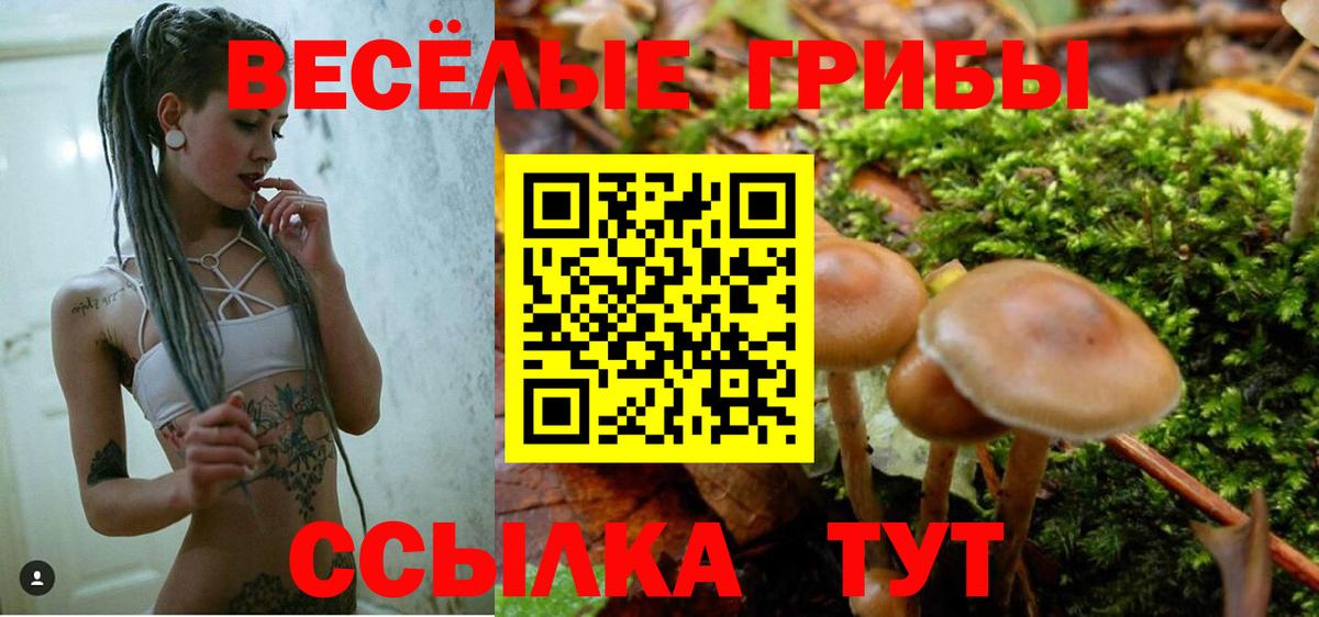 Сочи  наркота  Вход с VPN  Галлюциногенные грибы мицелий 